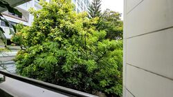 Blk 134 Petir Road (Bukit Panjang), HDB Executive #472222021